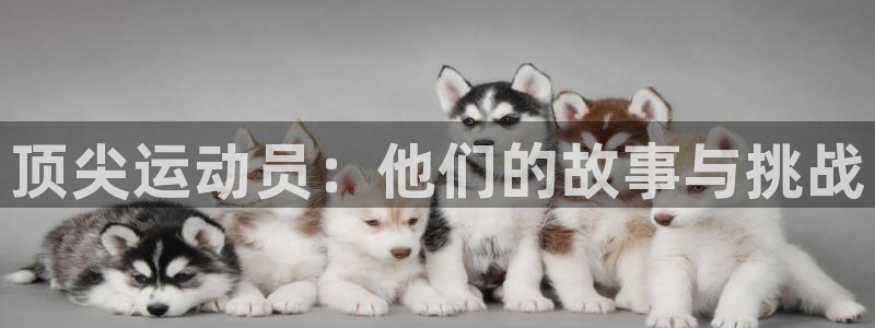 安信164代理：顶尖运动员：他们的故事与挑战