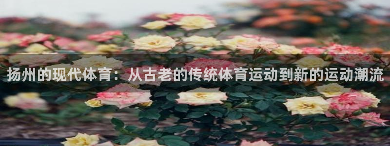 意昂5平台：扬州的现代体育：从古老的传统体育运动到新的运动潮流
